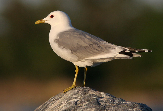 kajak07 184