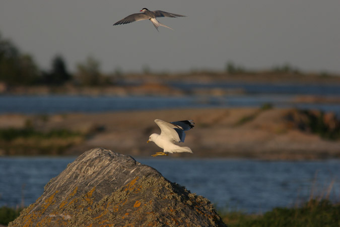 kajak07 207