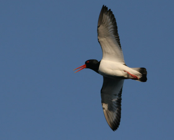 kajak07 297
