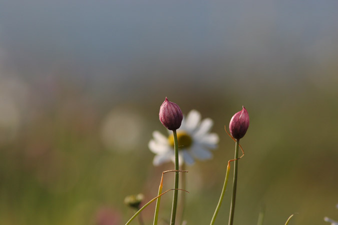 kajak07 485