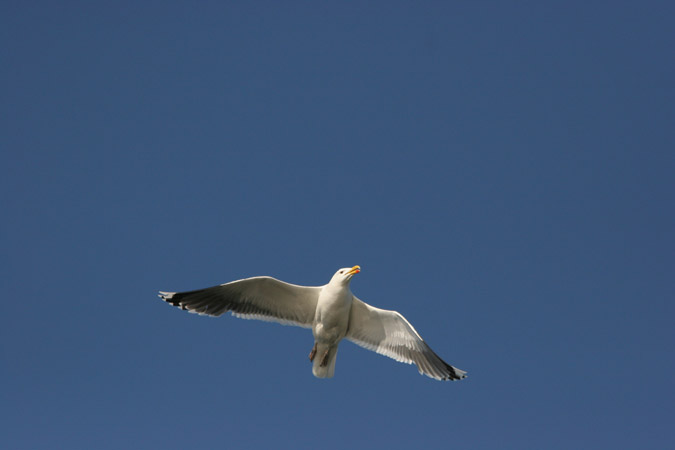 kajak07 493