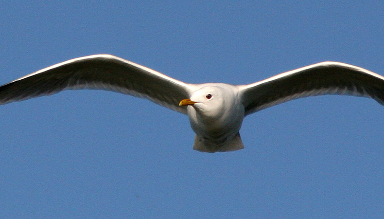 kajak07 517