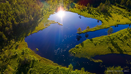 Glittrande norrlandstjärn