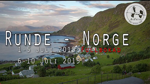 Reklam repotage Runde